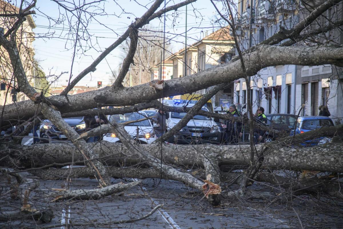 Alberto caduto a Via De Amicis a Milano, tragedia sfiorata e caos i…