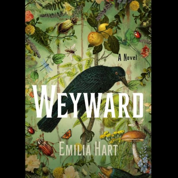 “Weyward” di Emilia Hart: protagoniste, trama e significato di un romanzo sull’autodeterminazione femminile