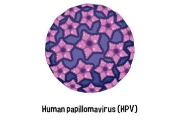 Come si trasmette l’HPV, come si diagnostica e qual è la cura