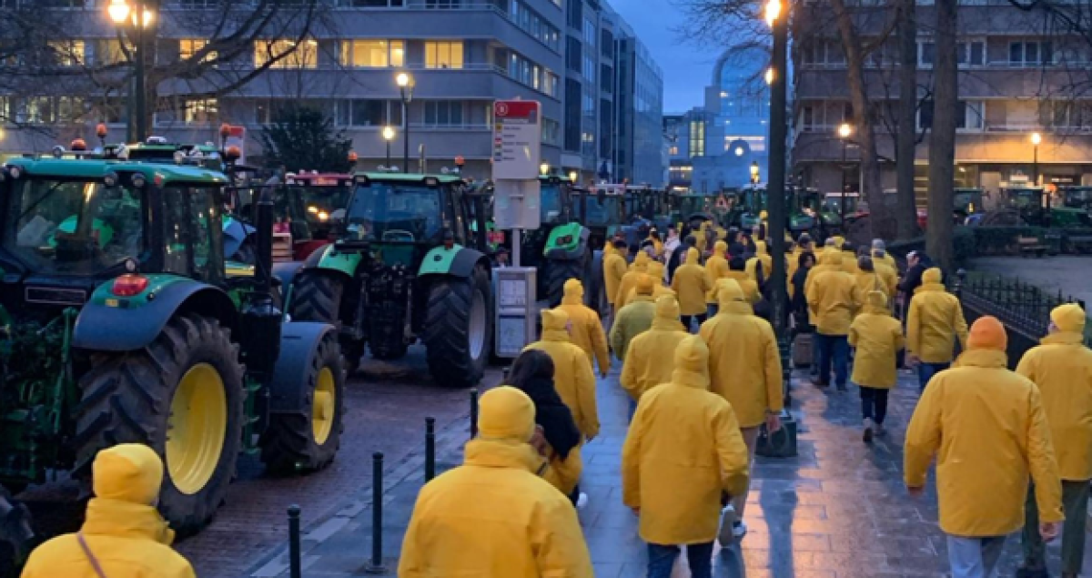 Protesta agricoltori in Belgio, bloccato il confine con l’Olanda. Il premier De Croo: “Basta barriere” | VIDEO