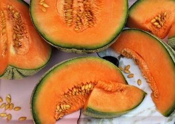 Melone: le ricette salate che non ti aspetti