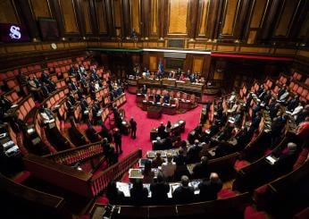 Chi ha votato a favore dei vitalizi? continua la polemica sul ritorno dell’assegno base agli ex senatori