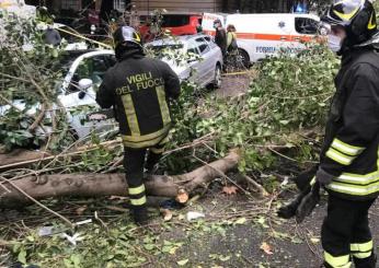 Roma, nel quartiere Aventino cade albero su un’auto: nessun ferito