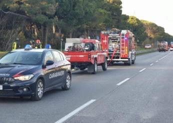 Pisa, vasto incendio a Montecatini Valdicecina: in fiamme un bosco