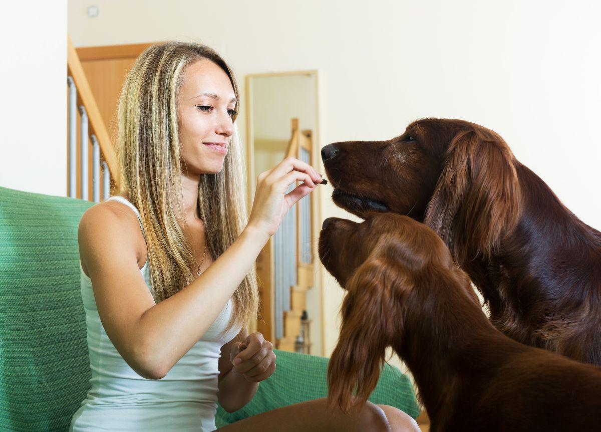 Gli animali domestici aiutano a rafforzare il sistema immunitario, …