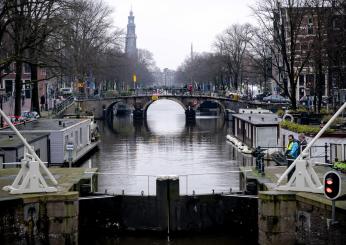 Amsterdam rischia di affondare a causa di un fungo che attacca le fondamenta