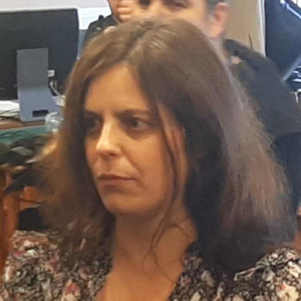 Quanti voti ha preso Ilaria Salis alle Europee? Ecco le preferenze ottenute dalla candidata di AVS