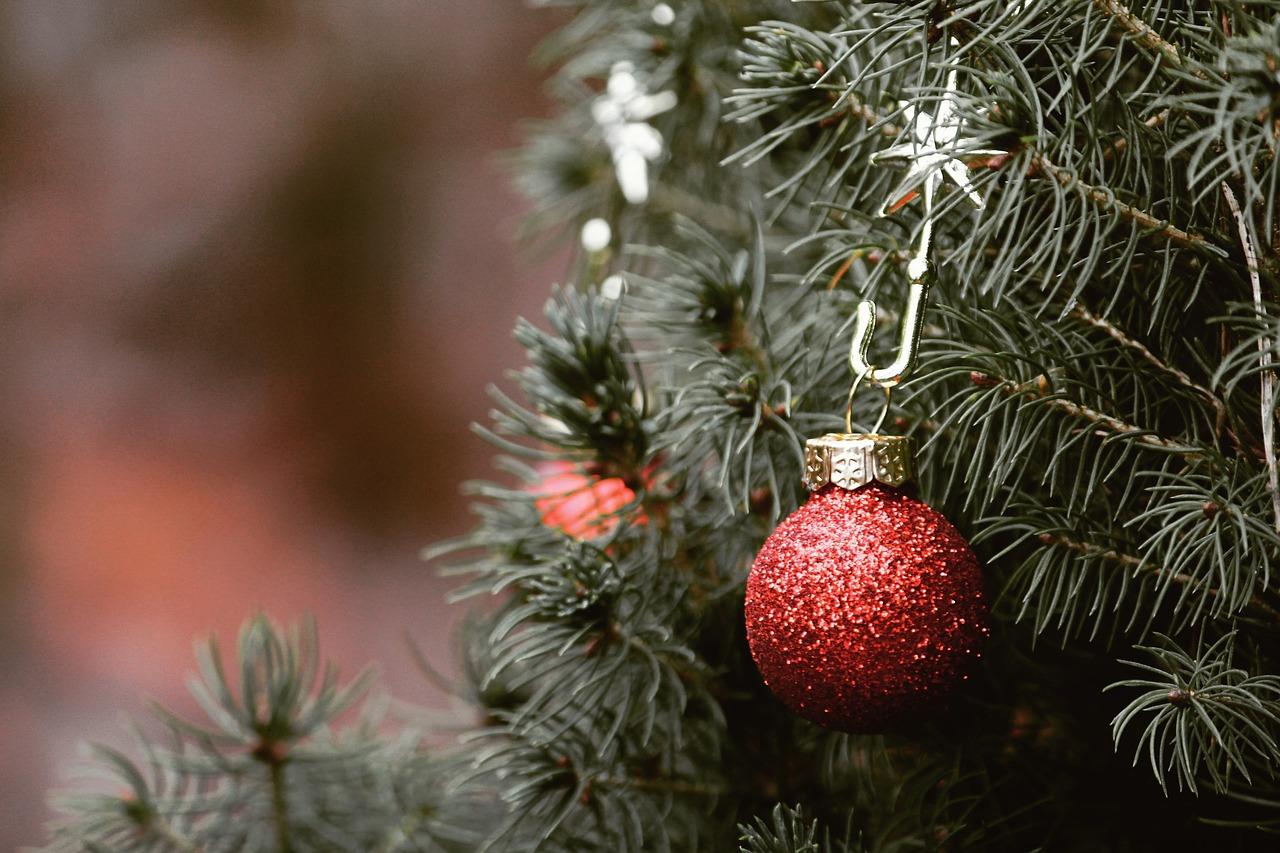 Cos’è la Sindrome dell’albero di Natale e come si manifesta questo strano tipo di allergia