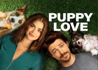 Se ami i cani, guarda Puppy Love su Prime Video, ecco trama e cast