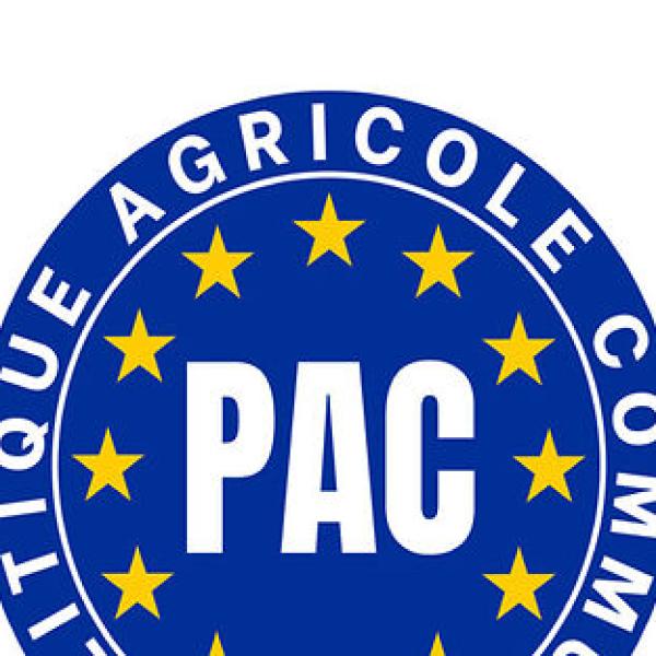 Pagamento aiuti Pac agricoltura entro il 30 novembre 2023, ma anticipi tagliati fino al 37,5%: ecco perché e cosa fare