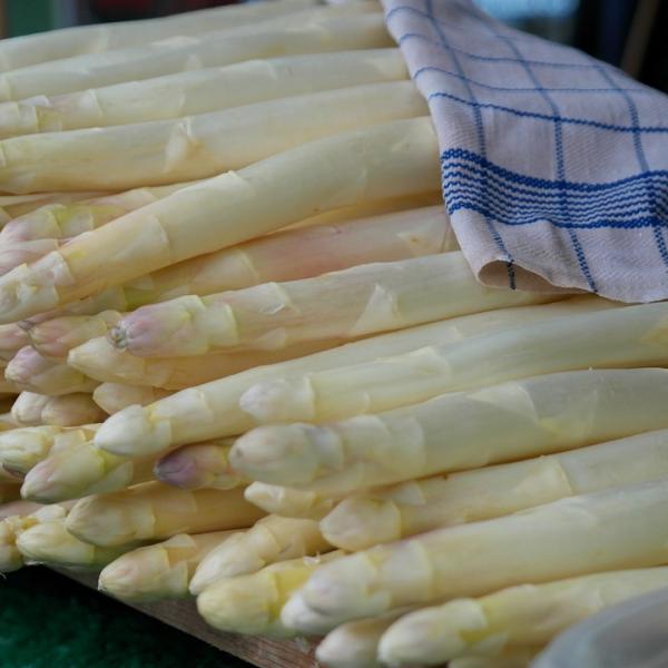 Asparagi, ricette primi piatti da leccarsi i baffi