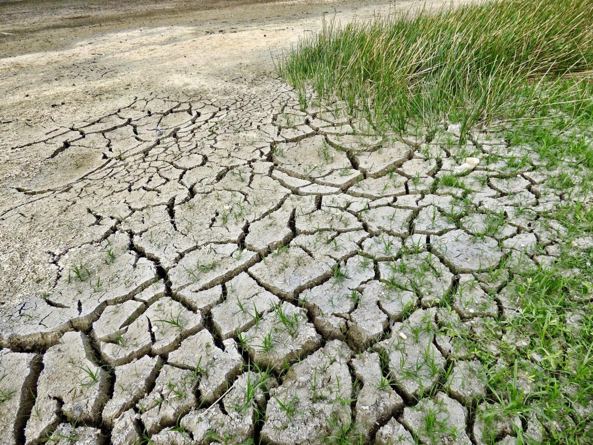 Cambiamenti climatici. L’IPCC avverte: in pericolo le future genera…