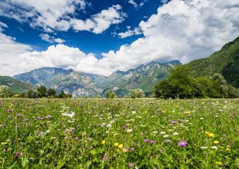 Bisciola: la ricetta originale del dolce della Valtellina