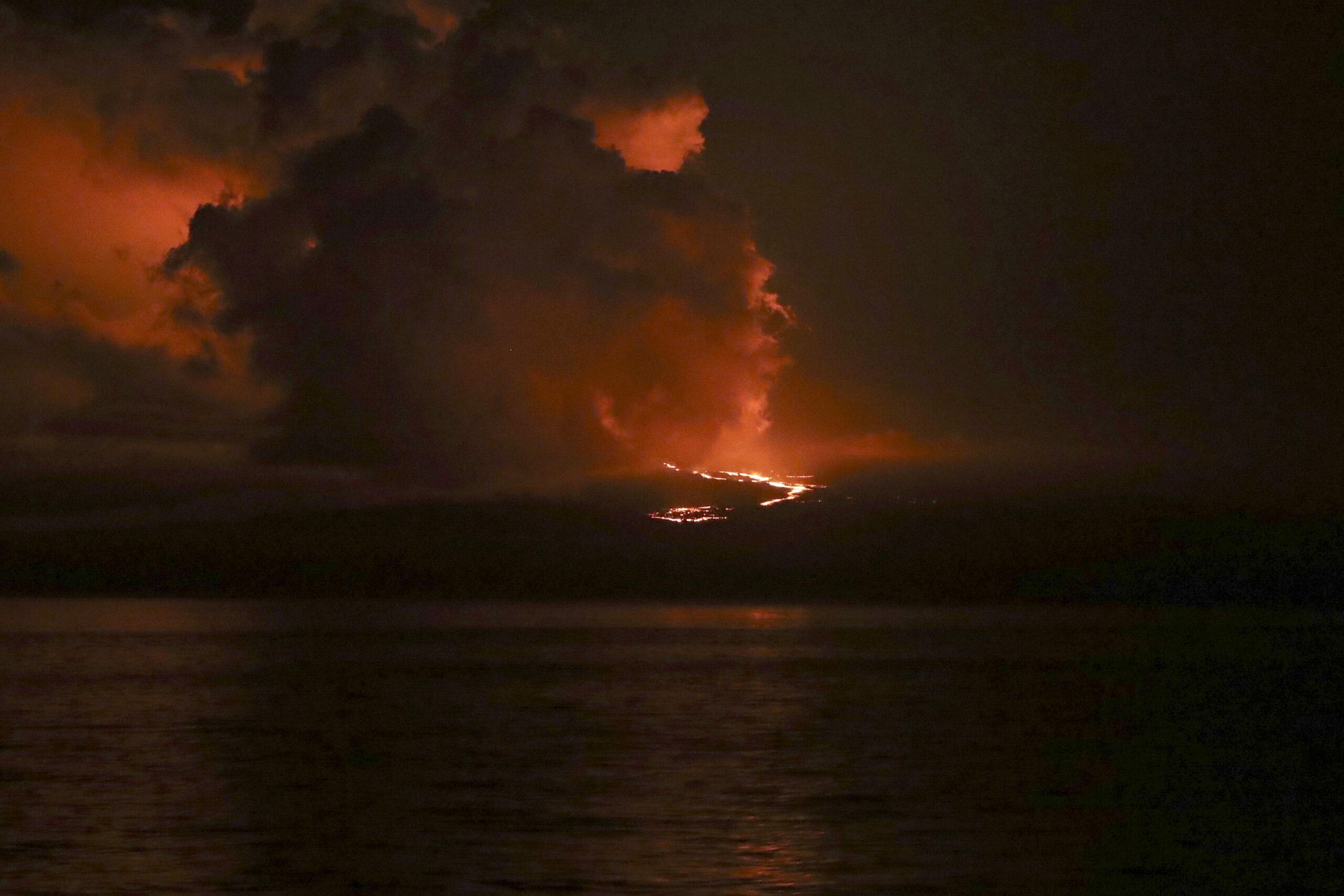 Galapagos, erutta il vulcano La Cumbre: diverse specie di animali a rischio