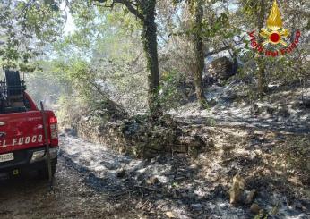 Roma, il Sindaco Gualtieri ha firmato l’ordinanza anti incendi, multe a chi non cura spazi verdi