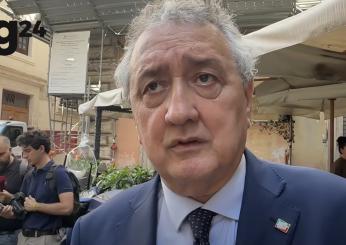 La Senna inquinata frena Paltrinieri alle Olimpiadi 2024, Barelli accusa gli organizzatori: “Scelta azzardata” | VIDEO