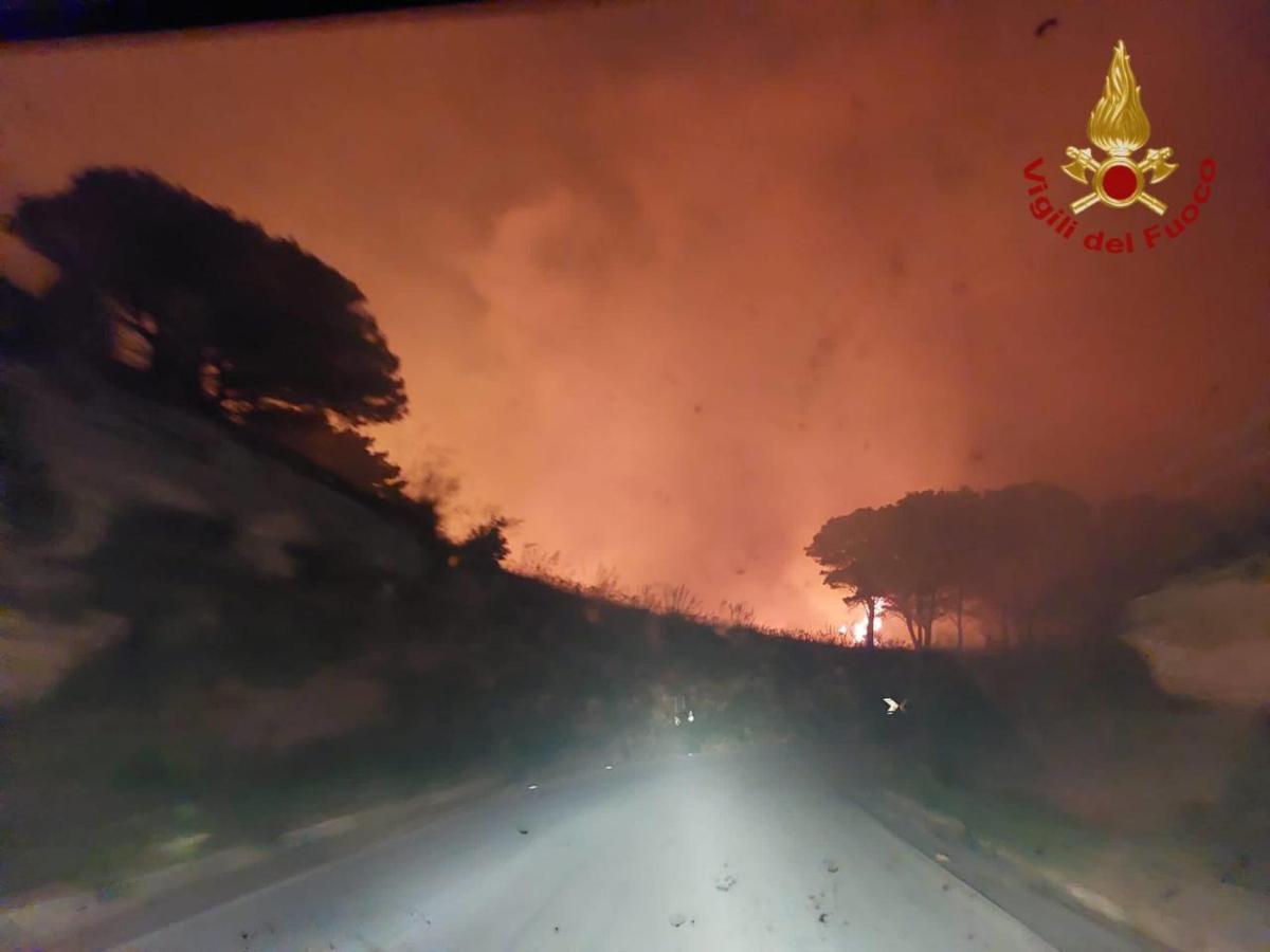 Brucia la Sicilia, incendi a Palermo e Trapani: in fiamme ettari di…