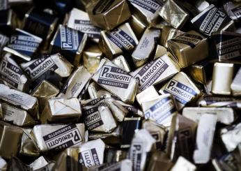 Pernigotti cioccolatini larve: “Possibile contaminazione da plodia”