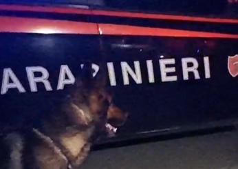 Enna, blitz antimafia in mattinata: 7 arresti