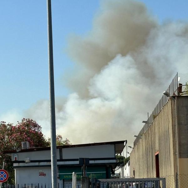 Roma, scoppia un incendio all’altezza dell’uscita A13 del Raccordo: colonna di fumo visibile da lontano| FOTO