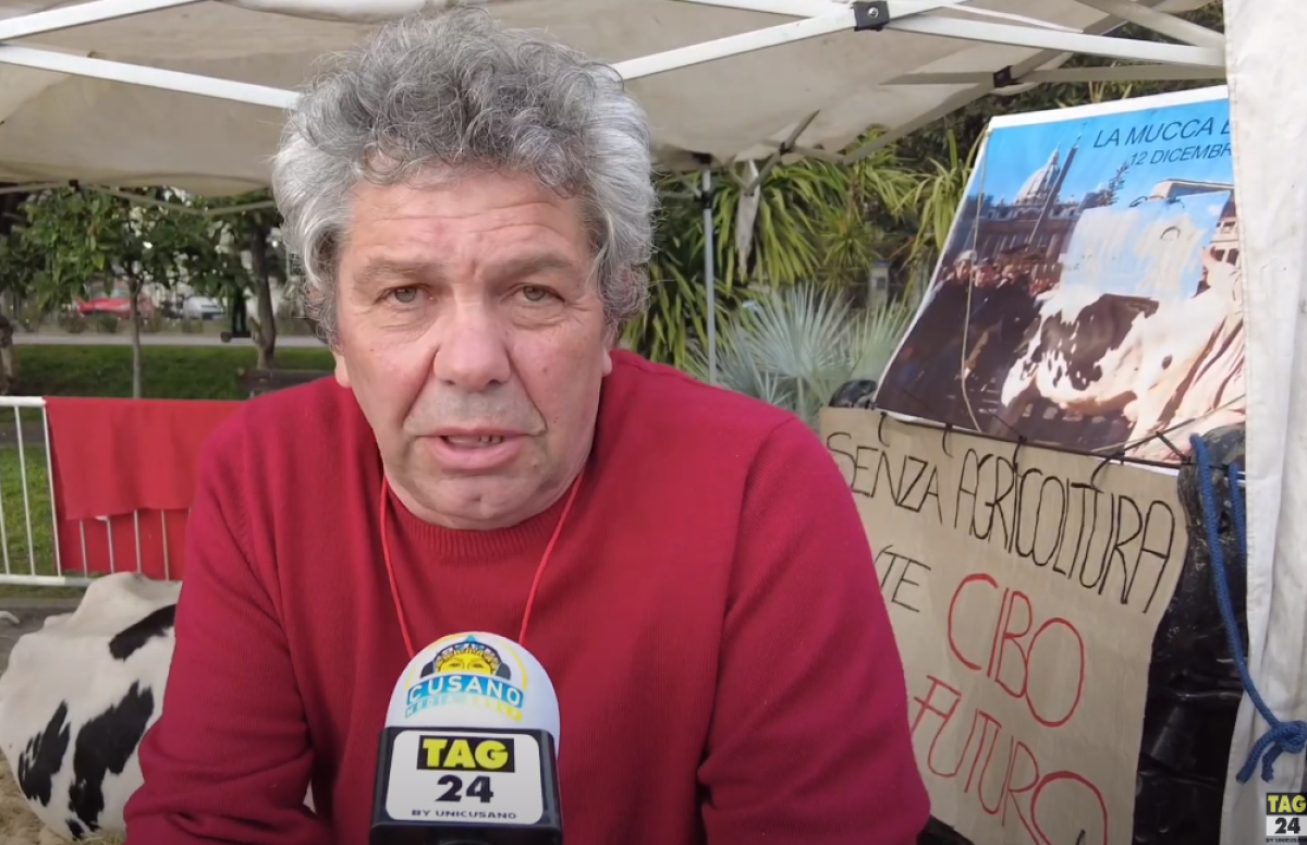 Mucca Ercolina a Sanremo, l’agricoltore in protesta: “Arriveranno altri trattori, Rai non ci risponde” | VIDEO