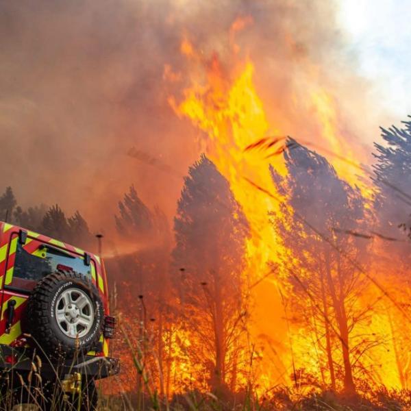 Un altro incendio a Roma, brucia un’area boschiva. Ettari di vegetazione in fumo anche nel resto d’Europa