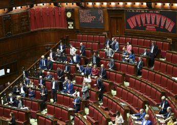 Chi sono i componenti della Commissione Covid al Senato? La Russa svela i nomi dei membri