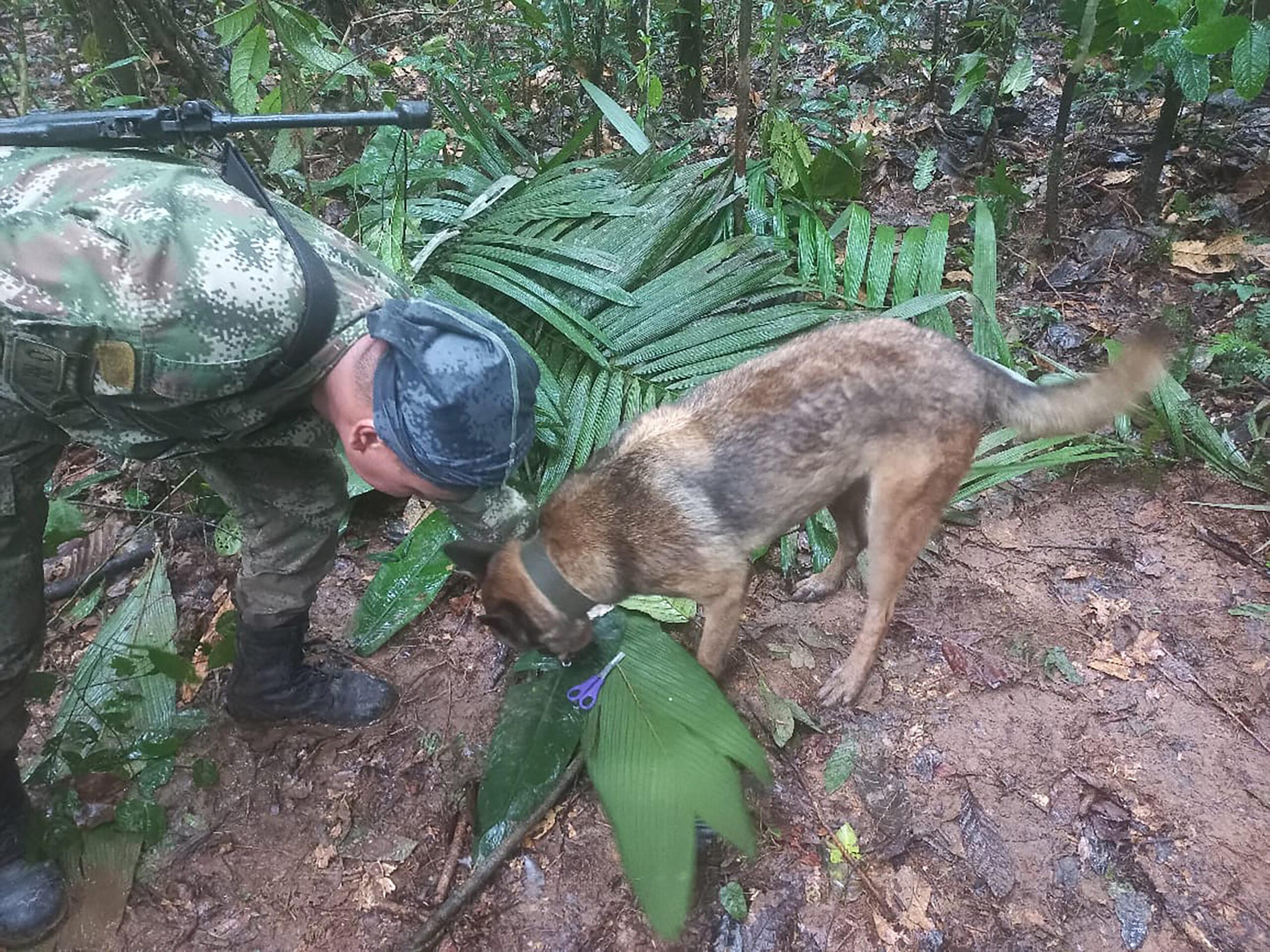 Incidente aereo in Colombia, è giallo sul ritrovamento dei 4 bambini dispersi da 15 giorni nella foresta amazzonica