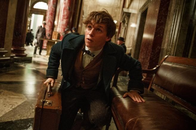 Animali Fantastici 4 si farà? David Yates parla del futuro della saga spin-off di Harry Potter