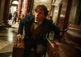 Animali Fantastici 4 si farà? David Yates parla del futuro della saga spin-off di Harry Potter