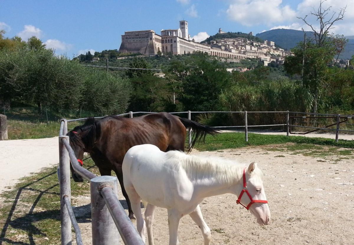 Coldiretti: “Per l’Immacolata 500.000 italiani scelgono gli agritur…