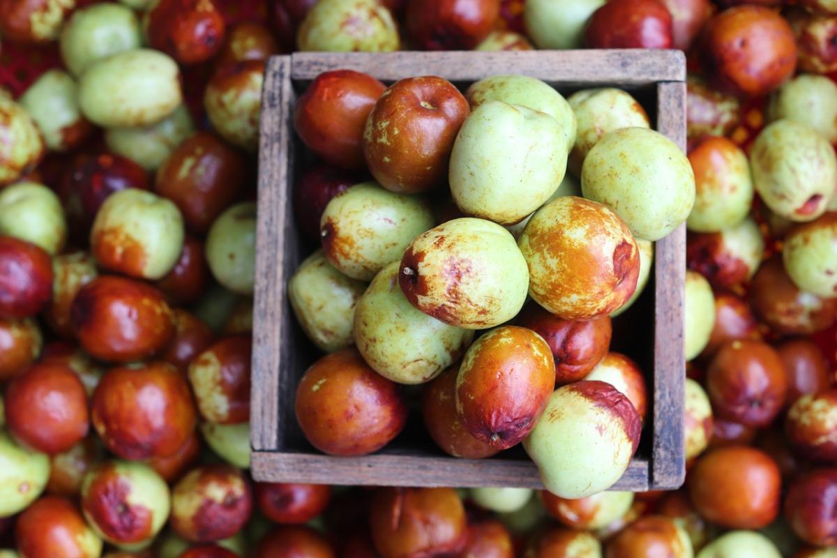 Giuggiole, cosa sono e quali sono i benefici di questo frutto