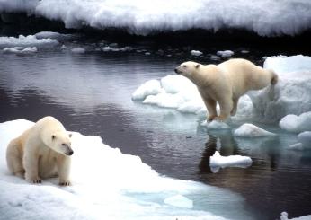 Il riscaldamento globale e l’aumento della temperatura fanno paura, l’WMO: “+1,5 gradi tra il 2023 e il 2027″