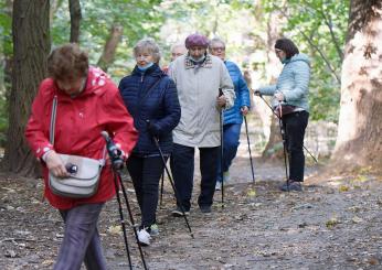 Pensione part-time a 63 anni nel 2024: ecco come potrebbe funzionare