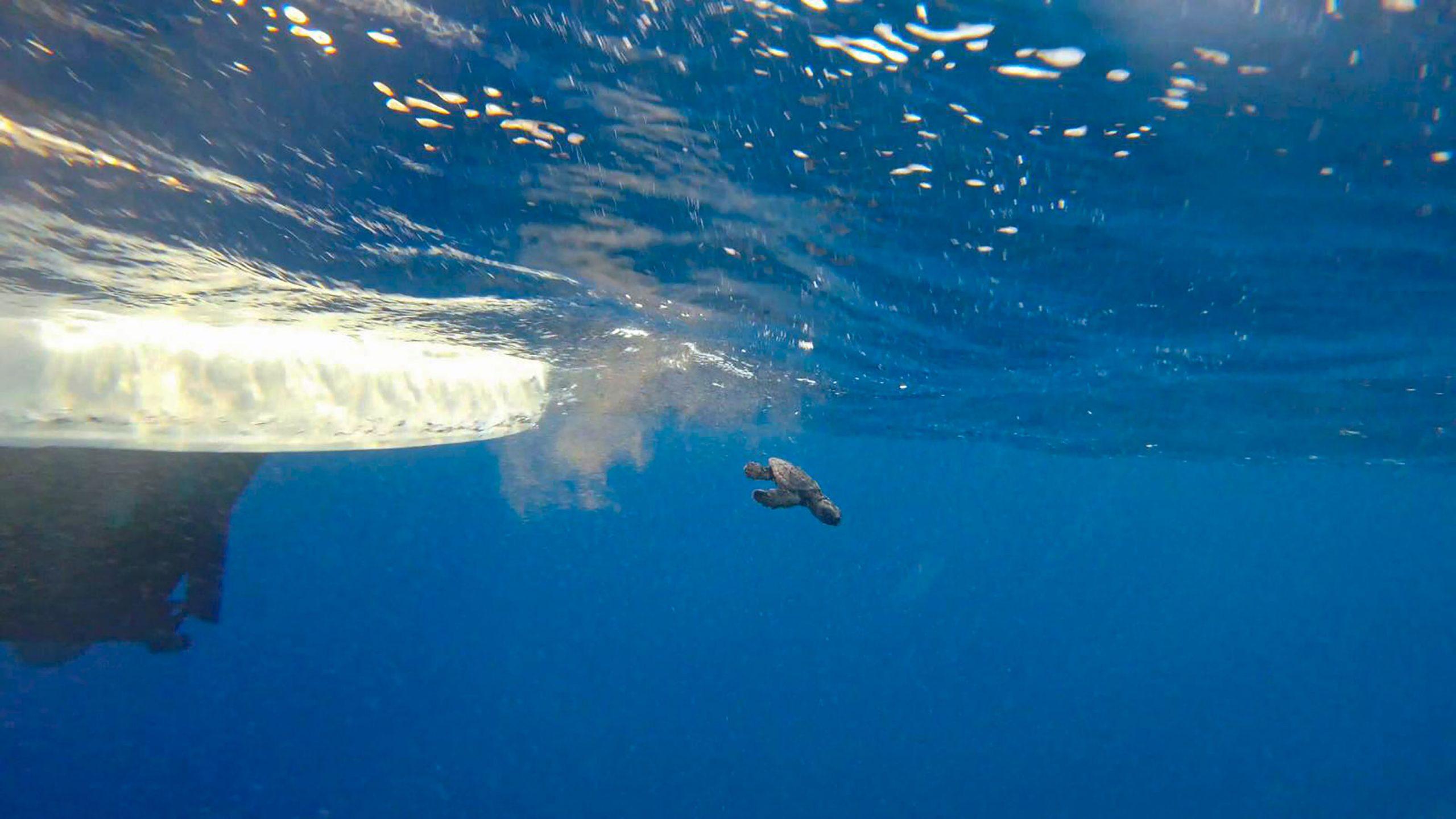 Inquinamento: Terracina rischia di perdere la bandiera blu