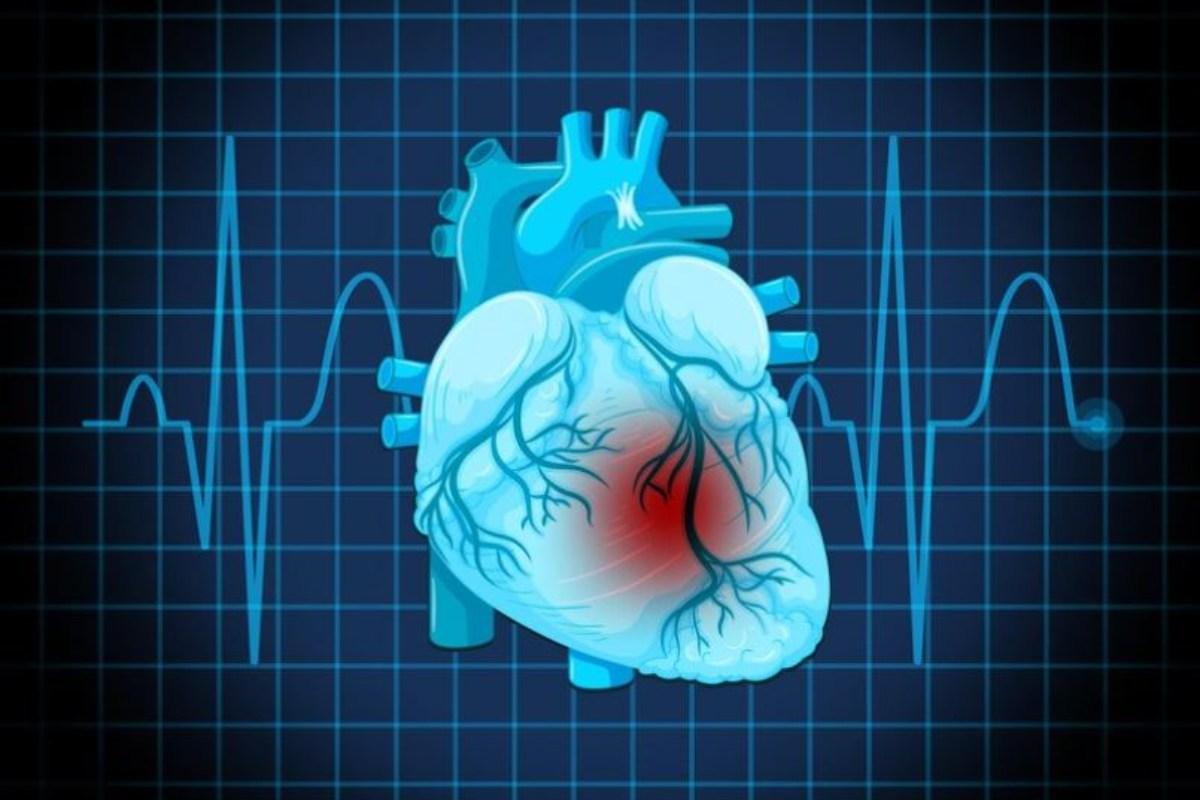 Quali sono i segnali di un’insufficienza cardiaca, le cure esistenti e l’aspettativa di vita