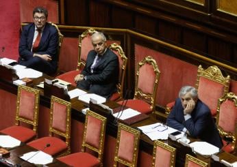 Dl Lavoro, il sì del Senato: 96 voti favorevoli, 55 contrari