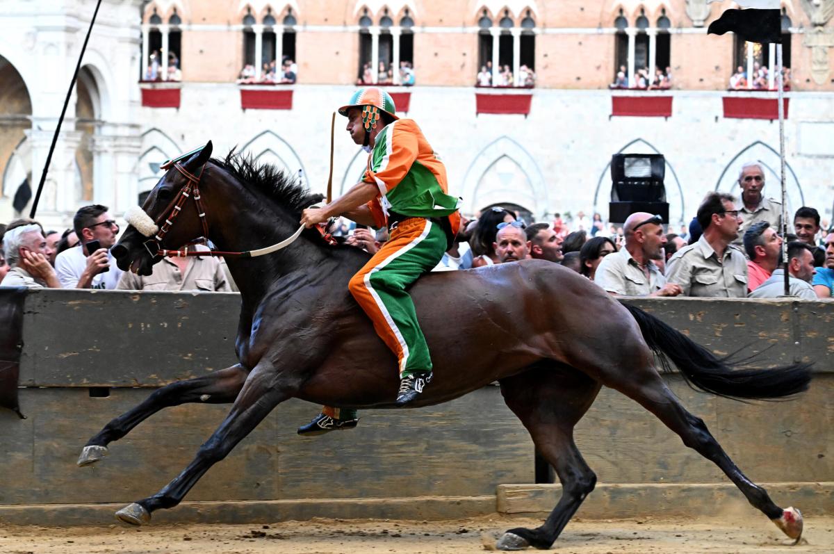 Assegnazione cavalli Palio di Siena 16 agosto 2023. Festa per Aquil…