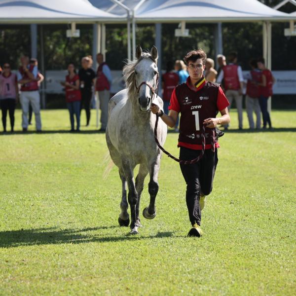 Equitazione, il Mondo ad Arborea per il Sardegna Endurance Festival