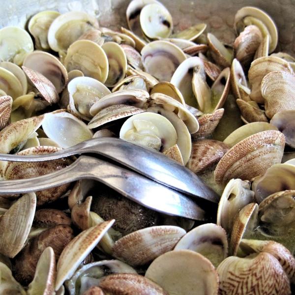 Non solo pasta con le vongole: le ricette dei secondi che amerete