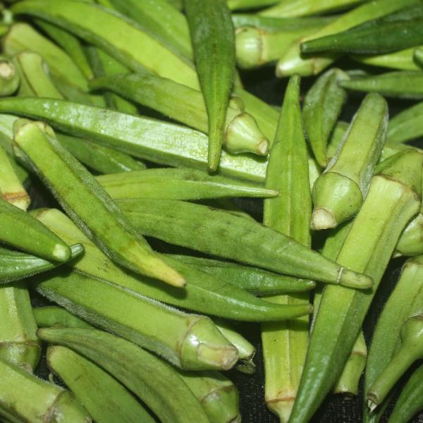 Che cos’è l’okra: ricette e consigli