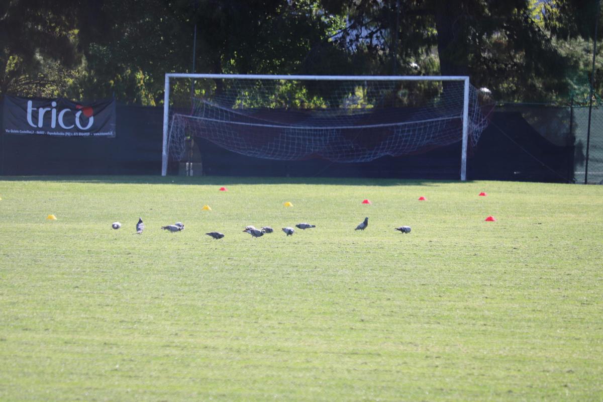 Migranti: club tunisino resta senza calciatori dopo che la squadra …