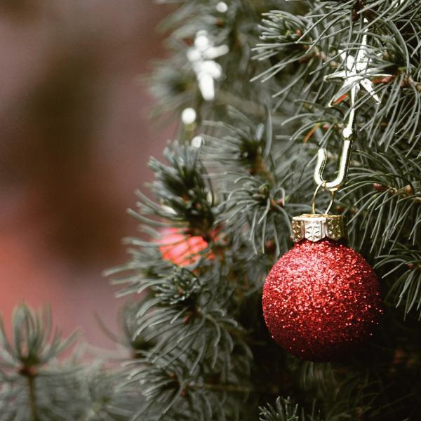 Quando si tolgono albero di Natale e presepe? C’è chi dice il 2 febbraio, ecco perché