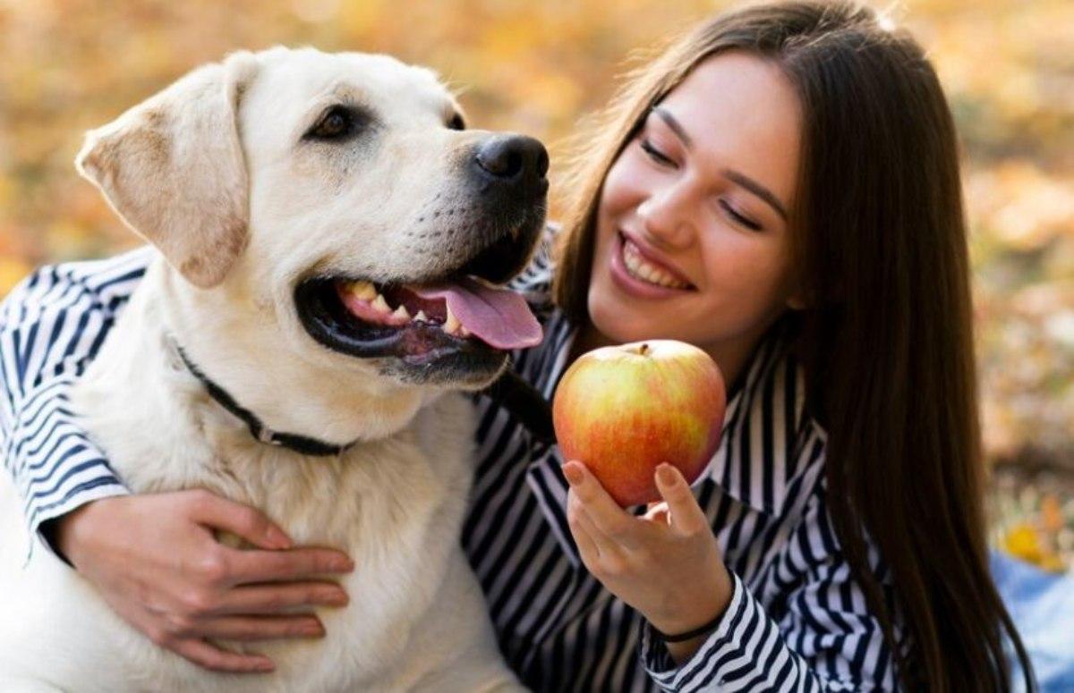 I cani possono mangiare la frutta? E quali tipologie, invece, sono da evitare