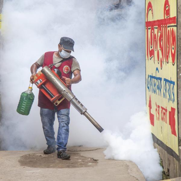 In Europa crescono i casi di Dengue, la “febbre spaccaossa”: primi casi in Francia