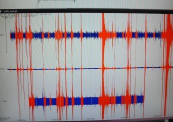 Usa, scossa di terremoto di magnitudo 4.9 in Texas: non ci sono feriti