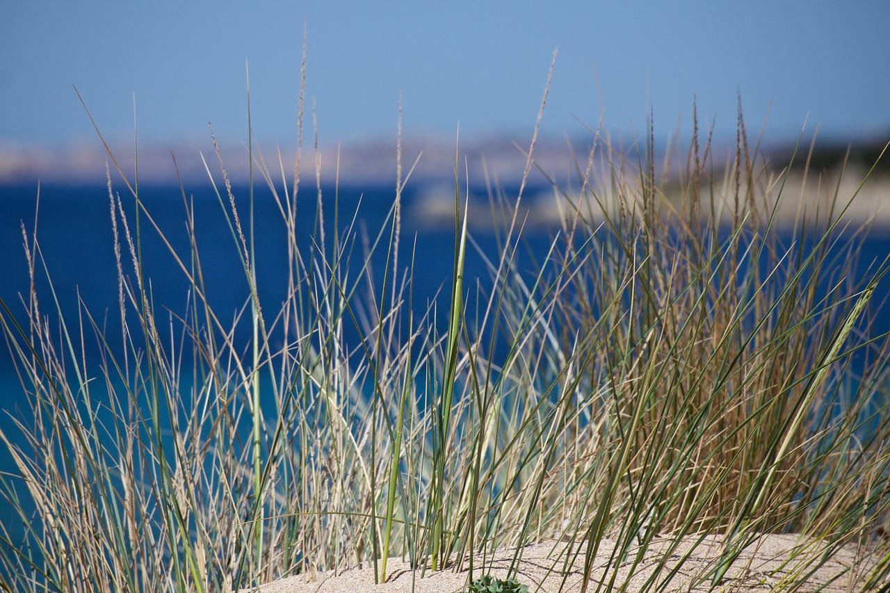 Cosa vedere a Oristano ​in Sardegna: centro storico, spiagge e paesi