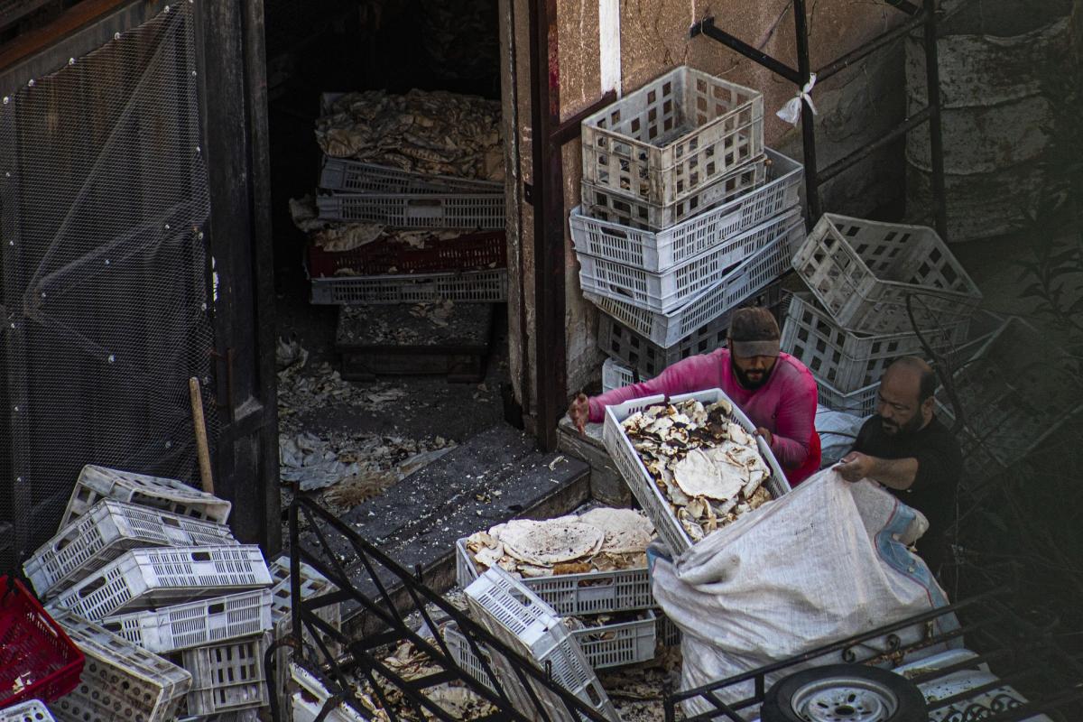 Sprechi alimentari. Nel mondo 1/3 del cibo prodotto va in discarica