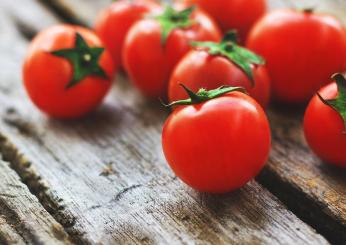 Pomodori ripieni freddi: una bontà senza accendere il forno