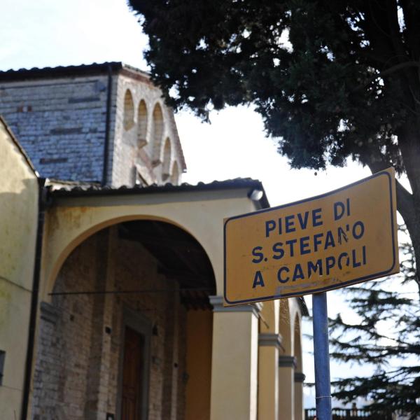 A Pieve Santo Stefano torna la sagra del prugnolo 2023